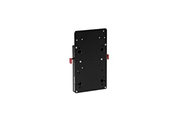 【中古】【輸入品・未使用】木製カメラ???クイックBack v2