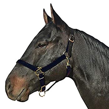 【中古】【輸入品・未使用】Intrepid International 安全ブレークアウェイホースホルター レザークラウン付き lg pony/yearling【メーカー名】Intrepid International【メーカー型番】125040【ブランド名】Intrepid International【商品説明】Intrepid International 安全ブレークアウェイホースホルター レザークラウン付き lg pony/yearling当店では初期不良に限り、商品到着から7日間は返品を 受付けております。こちらは海外販売用に買取り致しました未使用品です。買取り致しました為、中古扱いとしております。他モールとの併売品の為、完売の際はご連絡致しますのでご了承下さい。速やかにご返金させて頂きます。ご注文からお届けまで1、ご注文⇒ご注文は24時間受け付けております。2、注文確認⇒ご注文後、当店から注文確認メールを送信します。3、配送⇒当店海外倉庫から取り寄せの場合は10〜30日程度でのお届けとなります。国内到着後、発送の際に通知にてご連絡致します。国内倉庫からの場合は3〜7日でのお届けとなります。　※離島、北海道、九州、沖縄は遅れる場合がございます。予めご了承下さい。お電話でのお問合せは少人数で運営の為受け付けておりませんので、メールにてお問合せお願い致します。営業時間　月〜金　10:00〜17:00お客様都合によるご注文後のキャンセル・返品はお受けしておりませんのでご了承下さい。