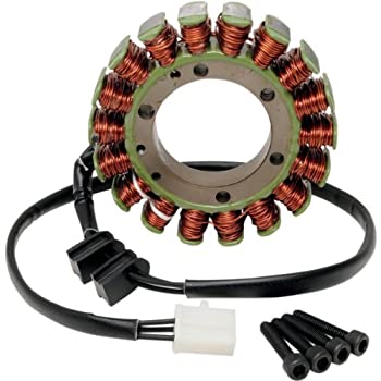 【中古】【輸入品・未使用】RicksモータースポーツElectric Stator 21???302