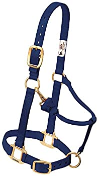 (2.5cm Large Horse%カンマ% Navy) - Weaver Leather Adjustable Horse Halter