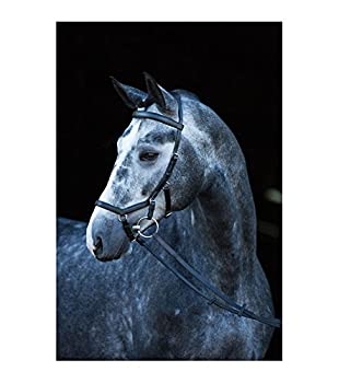 šۡ͢ʡ̤ѡ(Black%% Small Horse/cob) - Horseware Ireland Rambo Micklem Comp Bridle FEI Approved With Reins