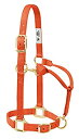 【中古】【輸入品・未使用】(2.5cm Small Horse%カンマ% Orange) - Weaver Leather Adjustable Horse H...