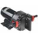 【中古】【輸入品・未使用】ジョンソンポンプ10???13406???104?Aqua Jet WPS 4.0水圧力ポンプ、24?V(4)