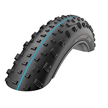 šۡ͢ʡ̤ѡSchwalbeܥ26?in Fat Bike Addix???26?in