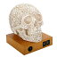 šۡ͢ʡ̤ѡSummit Collection 9168 Floral Skull Lamp