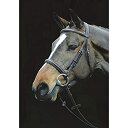 【中古】【輸入品・未使用】Weatherbeeta Collegiate快適クラウンパッド入りRaised Cavesson Bridle Cob