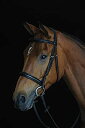 【中古】【輸入品・未使用】Weatherbeeta Collegiate快適クラウンパッド入りRaised Cavesson Bridle Pony ブラウン
