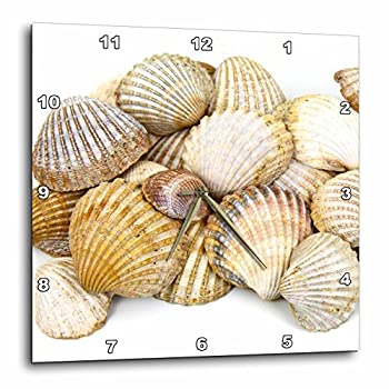 【中古】【輸入品・未使用】3dRose dpp_50550_2 Sea Shells by The Sea Shore-Sumer-Beach Theme-Wall Clock、13x13インチ 【中古】【輸入品・未使用】3dRose dpp_50550_2 Sea Shells by The Sea Shore-Sumer-Beach Theme-Wall Clock、13x13インチ