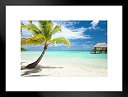 【中古】【輸入品・未使用】Palm Tree and Huts On Tropical Beach Tahaa島フォトアートプリントby proframes 2...