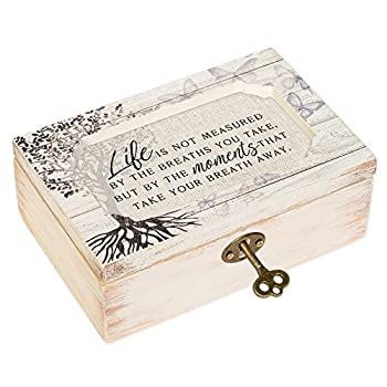 šۡ͢ʡ̤ѡLife Moments White Wash Butterfly Tree Petite Decoupage Music Box Plays What a Wonderful World