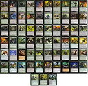 【中古】【輸入品 未使用】Black/Green Infect Commander Deck - Custom Built - Elite - MTG - EDH - 100 Card