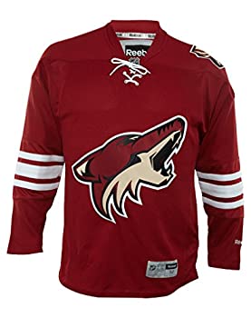 šۡ͢ʡ̤ѡNHL RBK PREMIER JERSEY 7185A