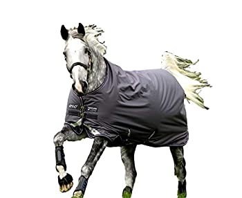 楽天スカイマーケットプラス【中古】【輸入品・未使用】Horseware Amigo Bravo ターンアウトシート - エクスカリバー/プラム/シルバー 72