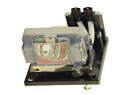 【中古】【輸入品・未使用】交換用for Sanyo pdg-dwt50lランプ&ハウジング交換用電球