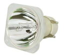 【中古】【輸入品・未使用】交換用の電球/ランプ50255-bop交換用電球