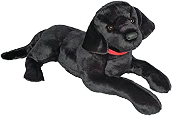 yÁzyAiEgpz(_OX) Douglasʂ 32C` Dickens Black Lab