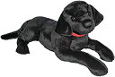 【中古】【輸入品・未使用】(ダグラス) Douglasぬいぐるみ 32インチ Dickens Black Lab(3)