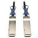 【中古】【輸入品・未使用】Tripp Lite QSFP+ to QSFP+ 40Gb Passive DAC Copper Infiniband Cable%...