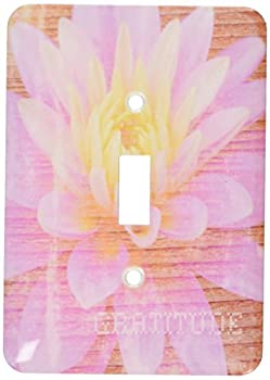 šۡ͢ʡ̤ѡ3drose LSP _ 29467?_ 1?Zen Gratitudeԥ󥯥ꥢǥե̿Si...