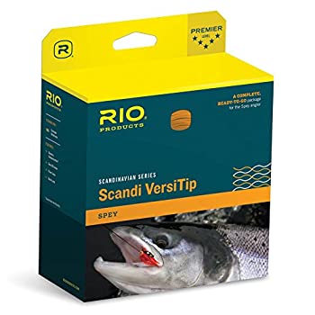 šۡ͢ʡ̤ѡ( 8 - 485 Grains - 10m) - Rio Scandi Short VersiTips