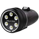 【中古】【輸入品・未使用】Light and Motion SOLA Video 2500 F