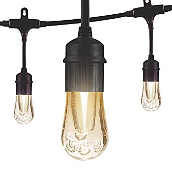 šۡ͢ʡ̤ѡJascoơ꡼Enbrightenʸ饤 12 ft. | 6 LED Bulbs 3...
