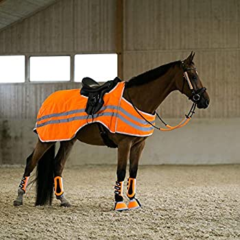 【中古】【輸入品・未使用】Horze Reflective Riding Rug【メーカー名】Horze Equestrian【メーカー型番】29326-OR-155【ブランド名】HORZE【商品説明】Horze Reflective Ri...