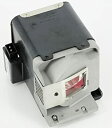 【中古】【輸入品・未使用】Star-LAMP RLC-049 ハウジング付き交換用ランプ VIEWSONIC PJD6241 PJD6381 PJD6531W用