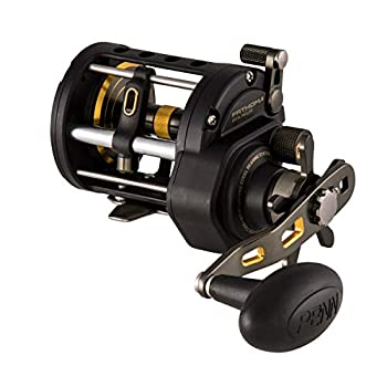 šۡ͢ʡ̤ѡPENN Fathom I & II Level Wind Conventional Fishing Reel