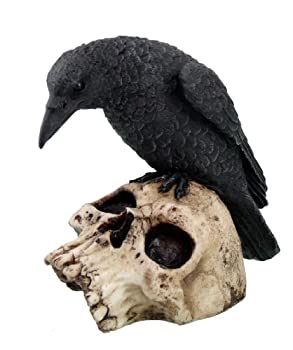 šۡ͢ʡ̤ѡۥ쥤   塼 Raven on Skull Statue Figure
