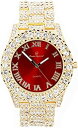 【中古】【輸入品・未使用】ST10327LA レディース ビッグロック ベゼル カラーダイヤル ローマ数字 アイスアウトウォッチ%カンマ% ゴールド-レッド。%...