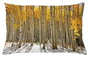 【中古】【輸入品・未使用】lunarableフォレストスロー枕クッションカバー、Aspen Trees Warmの葉in Snow Forest in Earl...