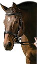 šۡ͢ʡ̤ѡHenri De RivelѥåRaised Dressage Bridle֥åCOB ֥å