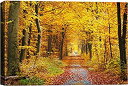 【中古】【輸入品・未使用】Signwin-Canvas Wall Art-Sunshine in The Forest キャンバスプリント ホームアートワーク ...