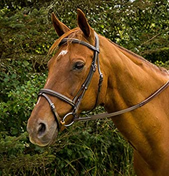 【中古】【輸入品・未使用】Henri De Rivel MonocrownイベントBridle Havana Cob【メーカー名】JPC Equestrian. Inc【メーカー型番】【ブランド名】Henri De Rivel【商品説明】Henri De Rivel MonocrownイベントBridle Havana Cob当店では初期不良に限り、商品到着から7日間は返品を 受付けております。こちらは海外販売用に買取り致しました未使用品です。買取り致しました為、中古扱いとしております。他モールとの併売品の為、完売の際はご連絡致しますのでご了承下さい。速やかにご返金させて頂きます。ご注文からお届けまで1、ご注文⇒ご注文は24時間受け付けております。2、注文確認⇒ご注文後、当店から注文確認メールを送信します。3、配送⇒当店海外倉庫から取り寄せの場合は10〜30日程度でのお届けとなります。国内到着後、発送の際に通知にてご連絡致します。国内倉庫からの場合は3〜7日でのお届けとなります。　※離島、北海道、九州、沖縄は遅れる場合がございます。予めご了承下さい。お電話でのお問合せは少人数で運営の為受け付けておりませんので、メールにてお問合せお願い致します。営業時間　月〜金　10:00〜17:00お客様都合によるご注文後のキャンセル・返品はお受けしておりませんのでご了承下さい。