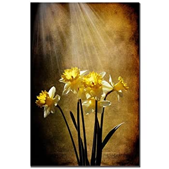 【中古】【輸入品 未使用】Trademark Art Spring Sun Canvas Art by Lois Bryan 16 by 24-Inch LBr061-C1624GG