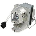 【中古】【輸入品・未使用】Stanlamp BL-FP240E 交換用ランプ オリジナル品質電球 ハウジング付き OPTOMA UHD60 UHD65プロジェク...