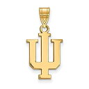 【中古】【輸入品・未使用】Indiana Medium (5?/ 8インチ) ペンダント(ゴールドメッキ)