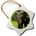 yÁzyAiEgpz3drose Danita Delimont???David??????ElephantAN[K[AAtJ???Ornaments 3 inch Snowflake Porcelain Ornament orn_18