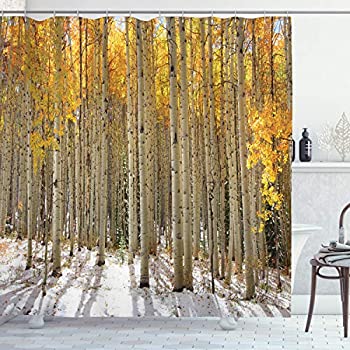 (180cm W By 180cm L%カンマ% Multi 20) - Ambesonne Farm House Decor Collection%カンマ% Aspen Trees with Golden Leaves in Snow%カンマ% Forest in E