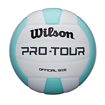 【中古】【輸入品・未使用】Wilson Pro Tour インドアバレーボール グリーン/ホワイト