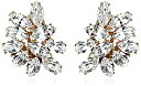 【中古】【輸入品・未使用】Ben-Amun Jewelry スワロフスキークリスタルイヤリング ブライダル 結婚記念日用