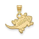 【中古】【輸入品・未使用】TCU Small (1?/ 2インチ) ペンダント(ゴールドメッキ)