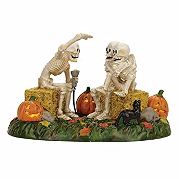 【中古】【輸入品・未使用】Department56 4.34782608695652 Scary Skeleton Stories 4056710