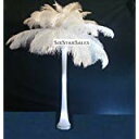 【中古】【輸入品・未使用】Special 7 Day Sale-Ostrich Wholesale Bulk 10/14%ダブルクォーテ% long~Bleach White DELUXE Tail Feathers- 100 in package. by Six Star Sales [