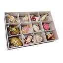 【中古】【輸入品・未使用】Kurt Adler Noble Gems Wedding Ornament???Set of 12 2.75%ダブルクォーテ%-4%ダブルクォーテ% グリーン NB1088(3)