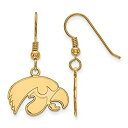 【中古】【輸入品・未使用】アイオワ州Small ( 1?/ 2インチ)ダングルイヤリングワイヤ(ゴールドメッキ)