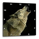 yÁzyAiEgpz3dRose dpp_724_1 Timber Wolf Ǌ|v 10 x 10C`