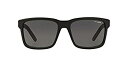 yÁzyAiEgpzNew Men Sunglasses Arnette AN4218 Swindle 01/87 57