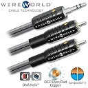 【中古】【輸入品・未使用】WIREWORLD ナノシルバー エクリプス ミニジャック - 2 RCAオーディオケーブル - 1.0M
